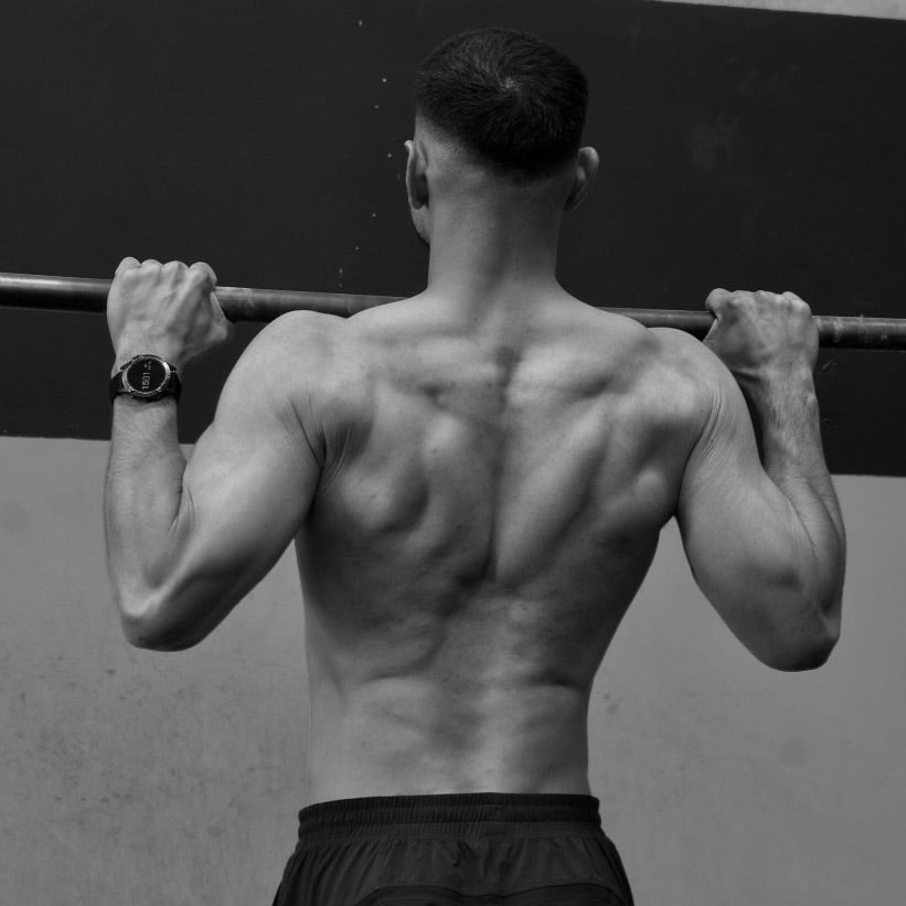 The Motus Pull Up Program